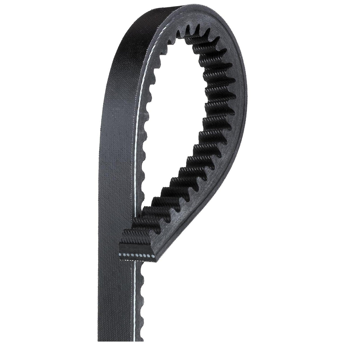 ACDelco Gold 35/64in Accessory Drive Belt T22386 (1/3)